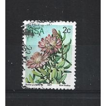SouthAfrica.SG415 2c Protea Punctata.Fine Used.Sep25m