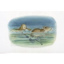 Alices Swimming With Mouse Adventures In Wonderland Book Postcard