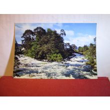 ISLAND and FALLS OF DOCHART. KILLIN, PERTHSHIRE unused postcard j aRTHUR dIXON=