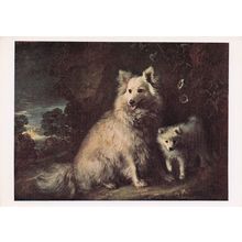 Thomas Gainsborough Fomeranian Bitch & Puppy Painting Postcard