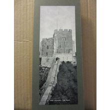 THE KEEP, ARUNDEL, Sussex unused antique PANORAMIC postcard by Photochrom #