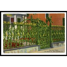 Corn Fence New Orleans Louisiana USA Postcard