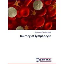 Journey of Lymphocyte - Fouzdar-Hongal Bhagyalaxmi