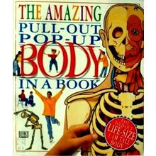 The Amazing Pull-Out Pop-Up Body in a Book by David Hawcock