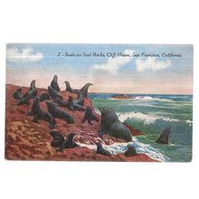 SEAL ROCKS, CLIFF HOUSE, SAN FRANCISCO, CALIFORNIA....unused vintage postcard