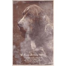 A Joyous Birthday Bloodhound Antique Dog Postcard