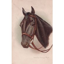 Dorothy Travers Pope Happy Horse Antique Postcard