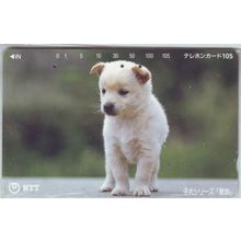 Puppy Japan NTT Phone Card