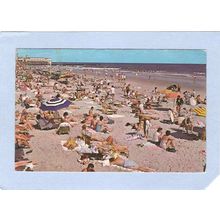 New Jersey Ocean City Beach Scene~564