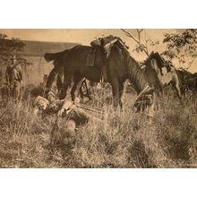 Boer War Tired Out Military Soldiers Sleeping In Battle Rare Photo Postcard