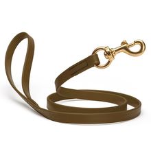 Dog Pet Leash with Brass Hardware W 5/8” L 4 FT Coyote Brown