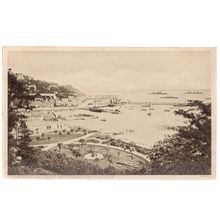 PRINCESS PIER & HARBOUR TORQUAY DEVON unused antique postcard by Torquay Times /
