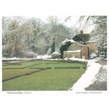 Watercress Beds Alresford Hampshire At Winter Postcard