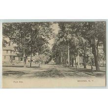 New York Medina Park Ave Tree Lined Unpaved Road w/Old Houses~281