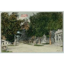 New York Melrose Main St Tree Lined Dirt Roadway w/Old Buildings~295