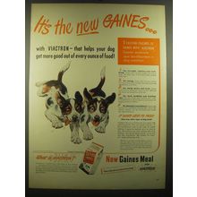 1948 Gaines Meal Dog Food Ad - It's the new Gaines