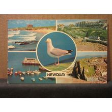 multiview, NEWQUAY, CORNWALL. used postcard. Colourmaster c.1971 SEAGULL