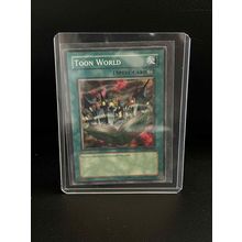 Toon World - DLG1-EN067 - Common - Unlimited Edition Dark Legends Yu-Gi-Oh Tradi