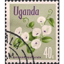 UGANDA, FLOWERS, Ipomoea Spathulata, grey 1969, 40c