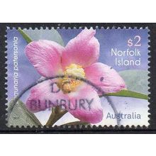 Norfolk Island 2017 Norfolk Island Flowers - Lagunaria patersonia $2 Used