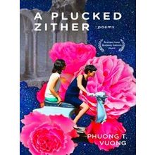 A Plucked Zither