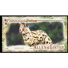 2016 Topps Allen & Ginter Ferocious Felines-Ocelot MINI #FF-13