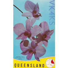 Queensland Australia 1970s QSL Radio Card