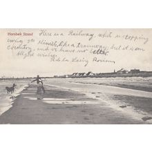 Dog Playing Fetch at Hornbaek Strad Denmark Old Postcard