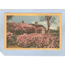 MA Cape Cod Cape Cod Cottage & Roses ma_box2~688