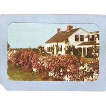 MA Cape Cod Cape Cod Cottage & Roses ma_box2~684
