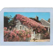 MA Cape Cod Cape Cod Cottage & Roses ma_box2~685
