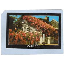MA Cape Cod Cape Cod Cottage & Roses ma_box2~687