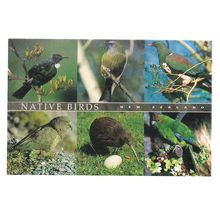 NATIVE BIRDS OF NEW ZEALAND. multiview. used postcard 2002 postmark =