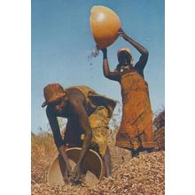 Nigeria Groundhut Harvest Festival Postcard