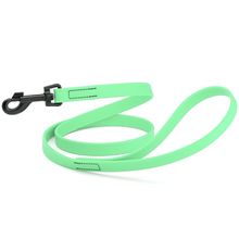 Dog Pet Waterproof Leash - W3/4" x L4' - Sea Foam Green