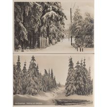 Erzgebirge Waldweg AM Kahleberg 2x German RPC Postcard s