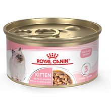 Royal Canin Feline Health Nutrition Kitten Thin Slices in Gravy Canned Cat Food,