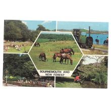 multiview, BOURNEMOUTH and NEW FOREST. unused vintage postcard Colourmaster =