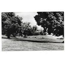 Diss, Recreation Grounds, Norfolk, RP Postcard.