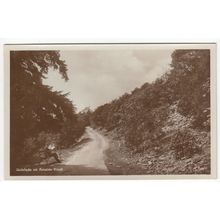 Quietude on Arnside Knott Postcard RP Cumbria