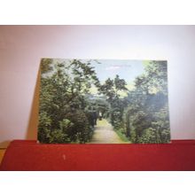 OLD GARDEN, BROCKWELL PARK, BRIXTON, LONDON used antique postcard 1908 pm =