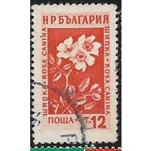 1953/1954 Michel 875 - fine used (o)