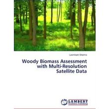 Woody Biomass Assessment with Multi-Resolution Satellite Data