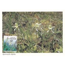 Aporostylsis Bifolia New Zealand Flower Christchurch Postcard First Day Cover