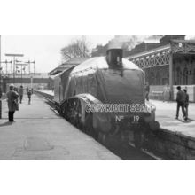 19 A4 'BITTERN' @ STATION (1)
