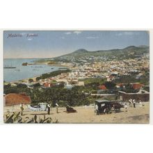 MADEIRA Vista Funchal Carro de Bois Ox early 20th C. RPPC B.P. 112