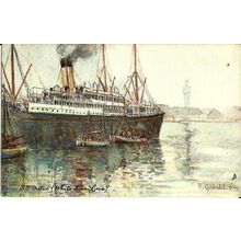 White Star Line SS CRETIC Tuck Oilette Postcard (6230) Artist - E. Gabriel