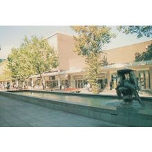 Basildon Mother & Child Statue Shops WH Smith Boots Postcard