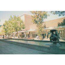 Basildon Mother & Child Statue Shops WH Smith Boots Postcard