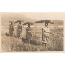 African Headcarriers Wood On Heads Old Farming Ethnic Postcard
